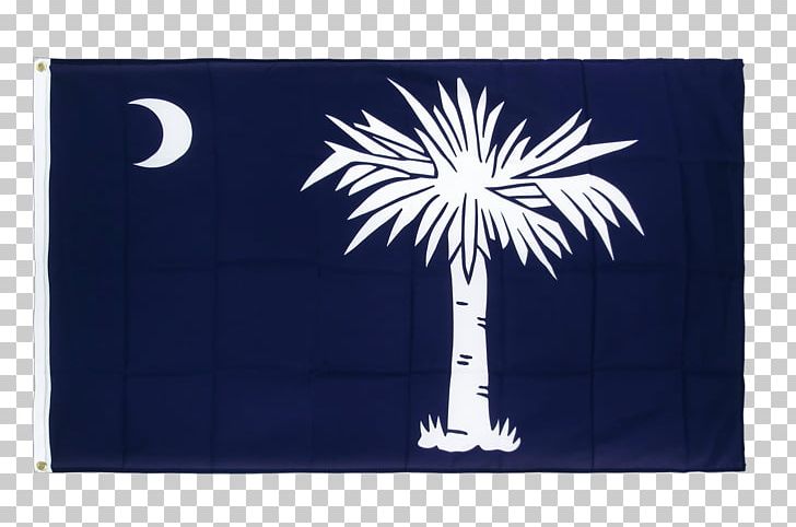 Flag Of South Carolina South Carolina Highway 3 Rectangle Area PNG, Clipart, Area, Blue, Carolina, Centimeter, Curriculum Vitae Free PNG Download