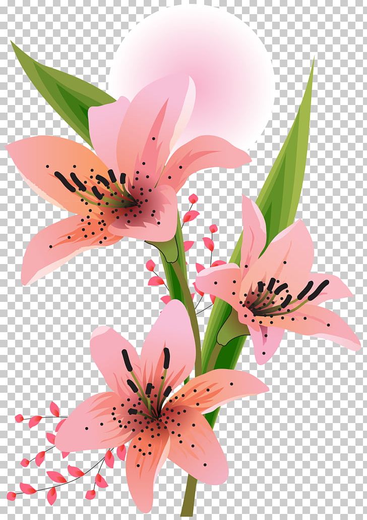 Lilium PNG, Clipart, Alstroemeriaceae, Cut Flowers, Encapsulated Postscript, Flora, Floral Design Free PNG Download