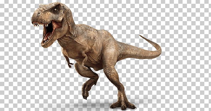 T-Rex Dinosaur PNG, Clipart, Animals, Dinosaurs Free PNG Download