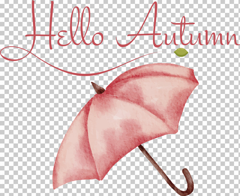 Font Petal Text Umbrella Pink PNG, Clipart, Petal, Pink, Text, Umbrella Free PNG Download