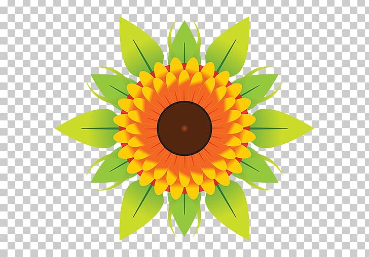 Flower PNG, Clipart, Common Sunflower, Daisy Family, Encapsulated Postscript, Floral, Floral Design Free PNG Download