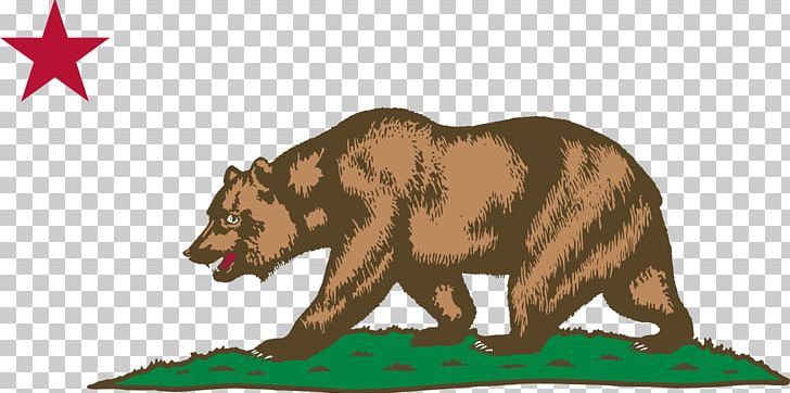 Sonoma California Republic Flag Of California Alta California California Grizzly Bear PNG, Clipart, Animal Figure, Bear, Brown Bear, Cafe, California Free PNG Download