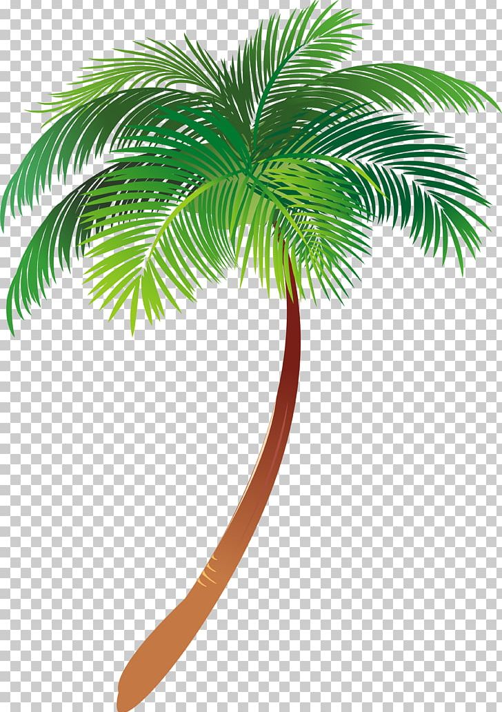 Asian Palmyra Palm Illustration Palm Trees Graphics Text PNG, Clipart, Asian Palmyra Palm, Borassus, Borassus Flabellifer, Coconut, Computer Icons Free PNG Download