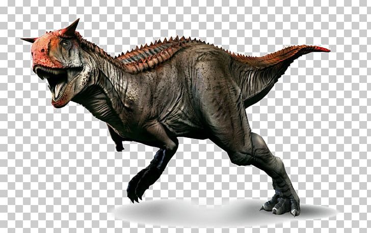 Carnotaurus Primal Carnage: Extinction Velociraptor Tyrannosaurus PNG, Clipart, Animal, Carnivore, Carnotaurus, Cryolophosaurus, Dilophosaurus Free PNG Download