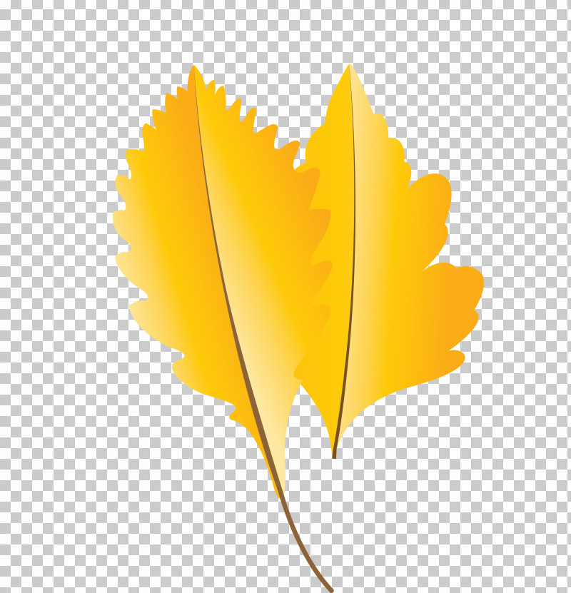 Leaf Yellow M-tree Meter Tree PNG, Clipart, Autumn Leaf, Biology, Cartoon Leaf, Fall Leaf, Leaf Free PNG Download