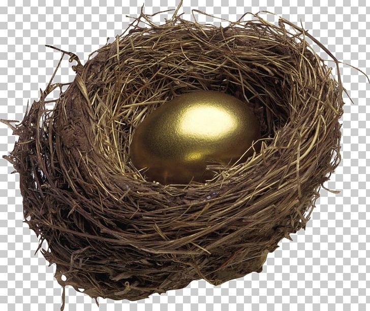 Bird Nest Egg PNG, Clipart, Adobe Premiere Pro, Animals, Bird, Bird Nest, Easter Free PNG Download