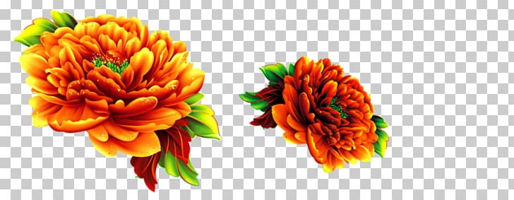 Chrysanthemum Flower PNG, Clipart, Christmas Decoration, Chrysanthemum, Chrysanths, Computer, Cut Flowers Free PNG Download