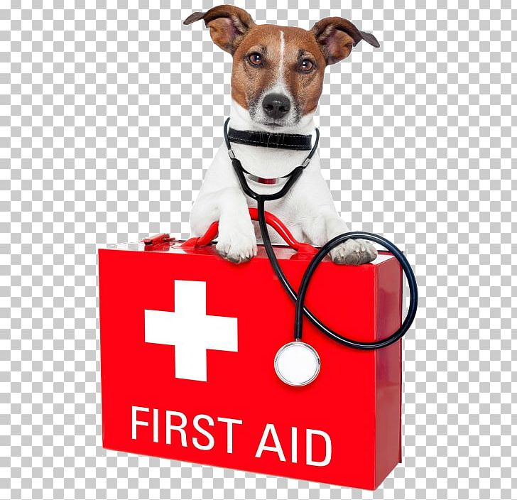 Dog Pet Sitting Pet First Aid & Emergency Kits First Aid Supplies PNG, Clipart, Aid, Animals, Companion Dog, Dog Breed, Dog Like Mammal Free PNG Download