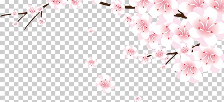 Cherry Blossom Computer File PNG, Clipart, Blossom, Branch, Chinese Border, Chinese New Year, Chinese Style Free PNG Download