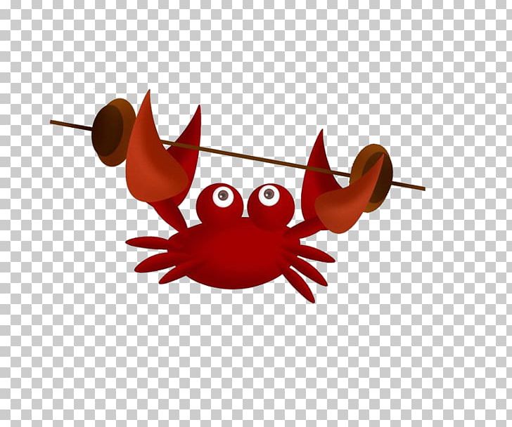 Crab Cartoon Drawing PNG, Clipart, Animal, Animals, Balloon Cartoon, Boy Cartoon, Cartoon Free PNG Download
