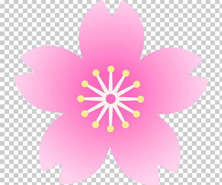Desktop Computer Icons Stock Footage PNG, Clipart, 4k Resolution, 300dpi, Animated Film, Blossom, Computer Icons Free PNG Download