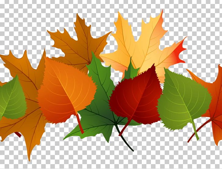 Desktop Thanksgiving PNG, Clipart, Autumn, Autumn Leaf Color, Desktop Wallpaper, Diagram, Download Free PNG Download