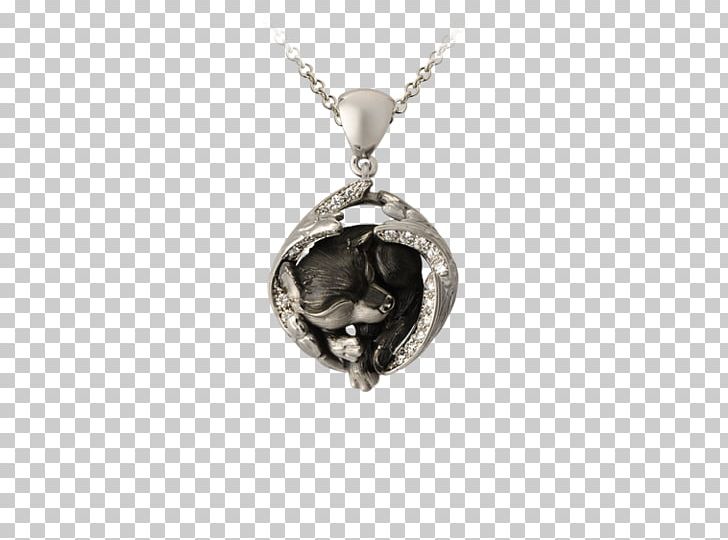 Locket Earring Necklace Jewellery Charms & Pendants PNG, Clipart, Art Jewelry, Bracelet, Chain, Charms Pendants, Clothing Accessories Free PNG Download