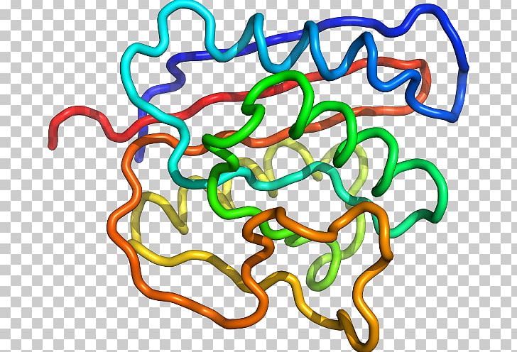 Organism Line PNG, Clipart, Animal Figure, Area, Art, Line, Organism Free PNG Download