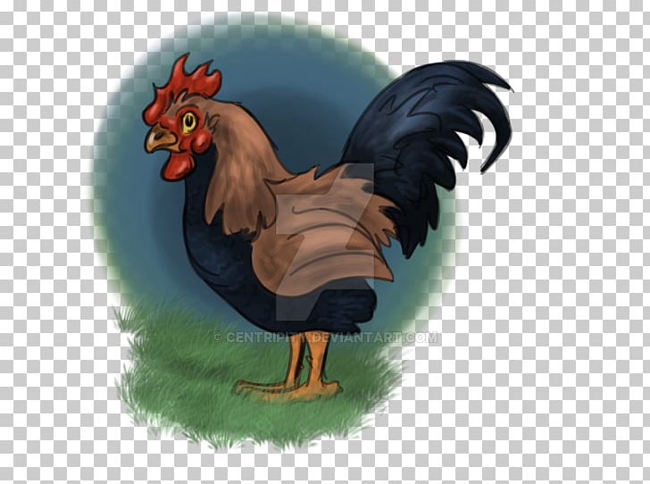 Chicken Bird Phasianidae Vertebrate Fowl PNG, Clipart, Animal, Animals, Beak, Bird, Cartoon Free PNG Download