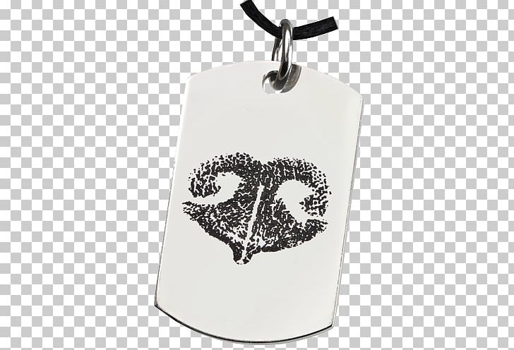 Dog Tag Pet Sitting Jewellery PNG, Clipart, Animals, Body Jewelry, Brand, Charms Pendants, Dog Free PNG Download