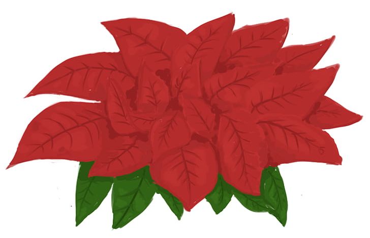 Poinsettia Paper PNG, Clipart, Blog, Christmas, Christmas Card, Christmas Tree, Creative Commons License Free PNG Download