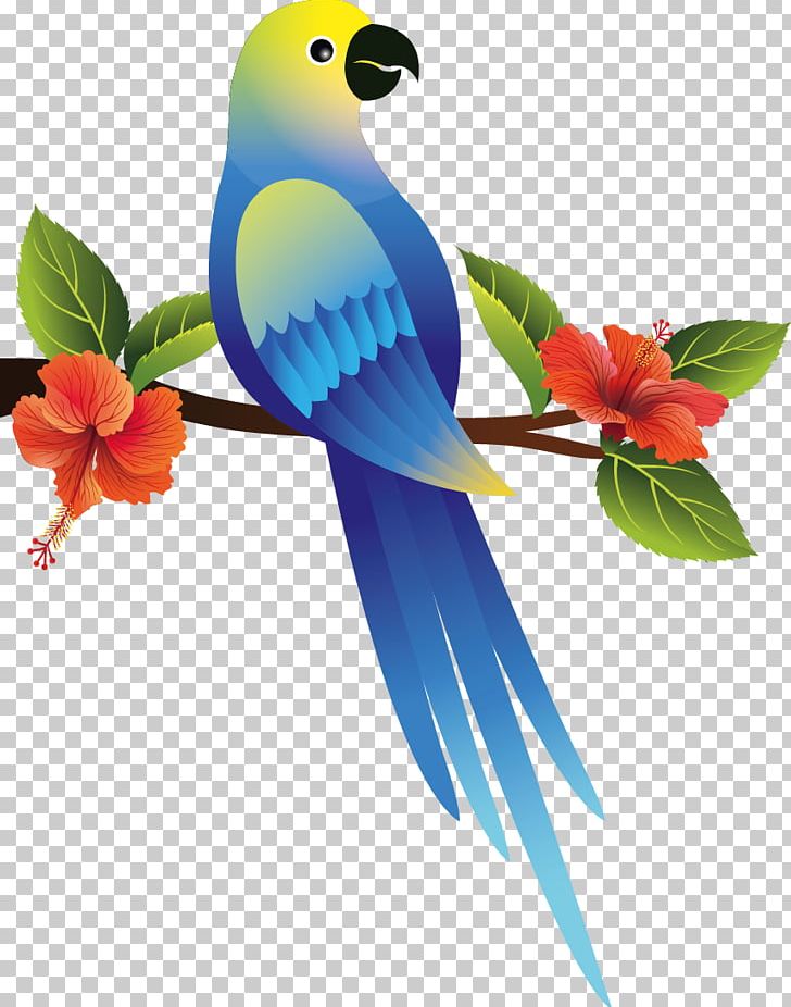Xiaomi Redmi Note 4 Portable Network Graphics Design Adobe Photoshop PNG, Clipart, Android, Beak, Bird, Branch, Cartoon Free PNG Download