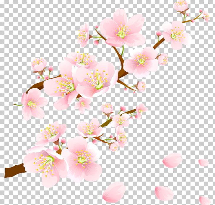 Cherry Blossom Paper PNG, Clipart, Blossom, Branch, Cherry, Cherry, Computer Wallpaper Free PNG Download