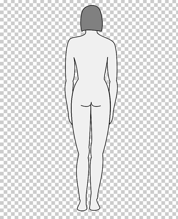 Human Body Female Body Shape Silhouette PNG, Clipart, Abdomen, Angle, Arm, Art, Back Free PNG Download