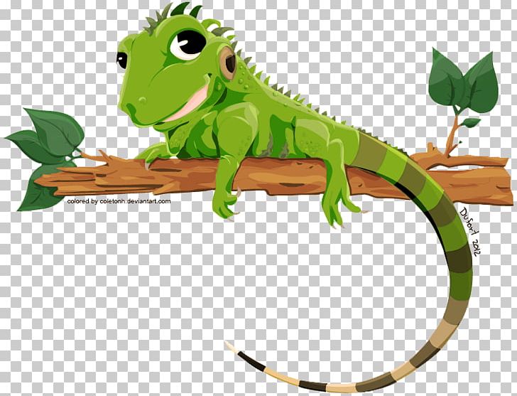 Lizard Green Iguana PNG, Clipart, Amphibian, Animals, Chameleons, Clip Art, Common Iguanas Free PNG Download