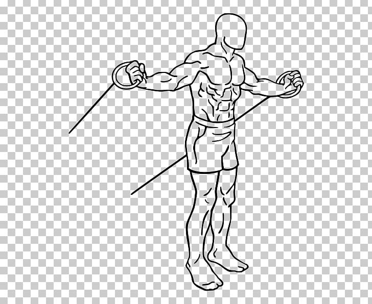 Pulldown Exercise Triceps Brachii Muscle Pushdown Exercise Bands PNG, Clipart, Angle, Area, Arm, Art, Artwork Free PNG Download