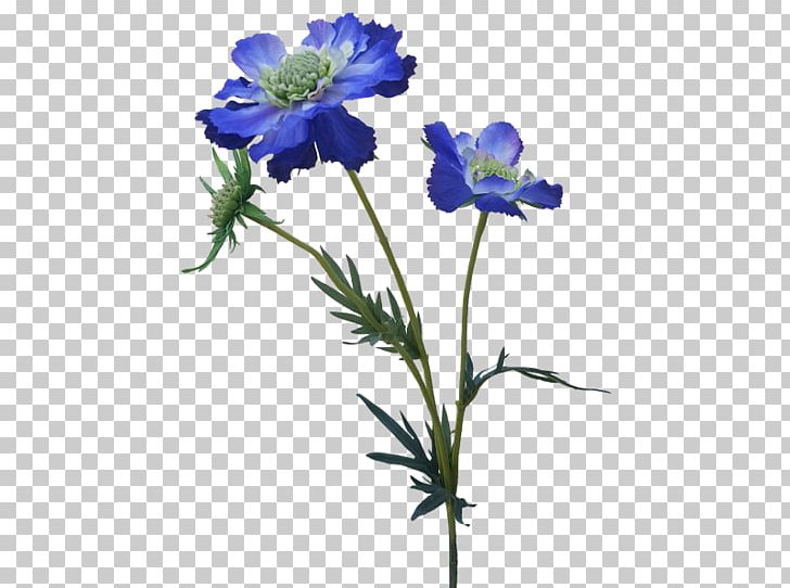 Anemone Larkspur Cut Flowers Plant Stem Herbaceous Plant PNG, Clipart, Anemone, Artificial Flowers, Artificial Flowers Mala, Blue, Cut Flowers Free PNG Download