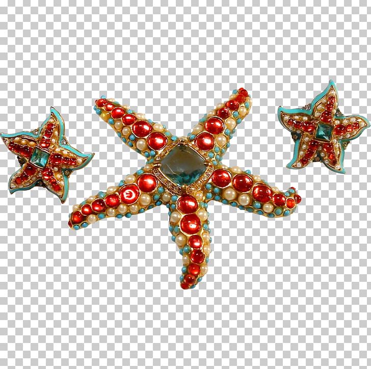 Marine Invertebrates Starfish Echinoderm Christmas Ornament PNG, Clipart, Animals, Christmas, Christmas Ornament, Echinoderm, Invertebrate Free PNG Download