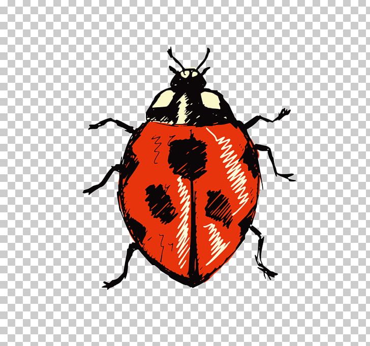 Beetle Ladybird Illustration PNG, Clipart, Arthropod, Beetle, Cartoon Ladybug, Cute Ladybug, Image Resolution Free PNG Download