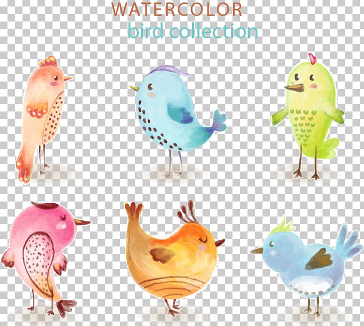 Bird Cat Adobe Illustrator Euclidean PNG, Clipart, Beak, Bird, Bird Cage, Birds, Cat Free PNG Download