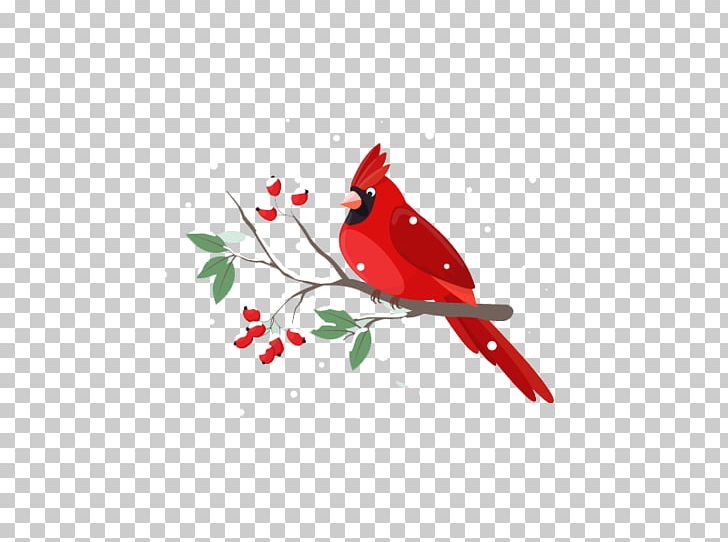 Bird Illustrator Illustration PNG, Clipart, Animals, Beak, Bird Cage, Birds, Branch Free PNG Download