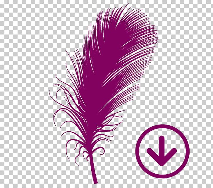 Feather Pink M Line Font PNG, Clipart, Animals, Electromagnetic Wave, Feather, Line, Magenta Free PNG Download