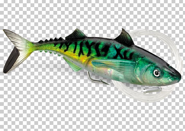 Fishing Baits & Lures Plug Mackerel PNG, Clipart, Bait, Bonito, Bony Fish, Cod, Fauna Free PNG Download