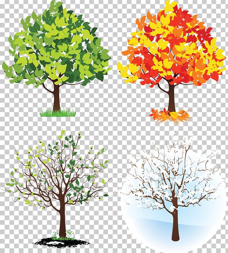 Four Seasons Hotels And Resorts Tree PNG, Clipart, Autumn, Branch, Cdr, Clip Art, Flower Free PNG Download