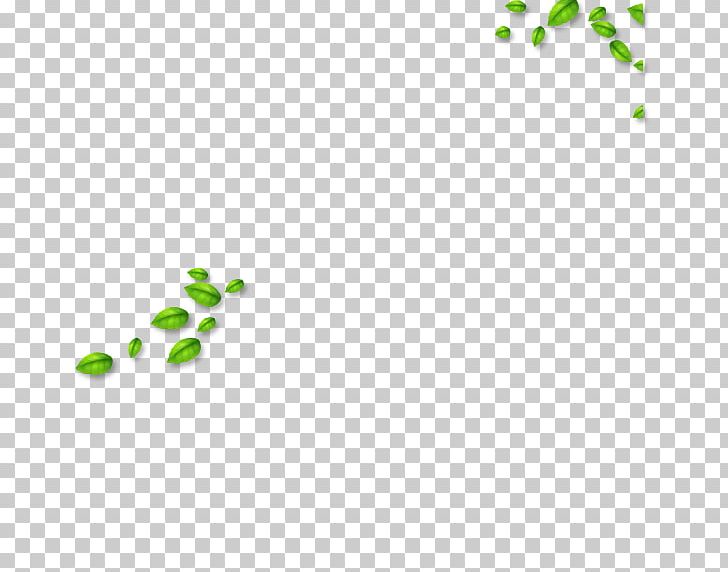 Leaf Resource Computer File PNG, Clipart, Angle, Area, Autumn Leaves, Banana Leaves, Circle Free PNG Download