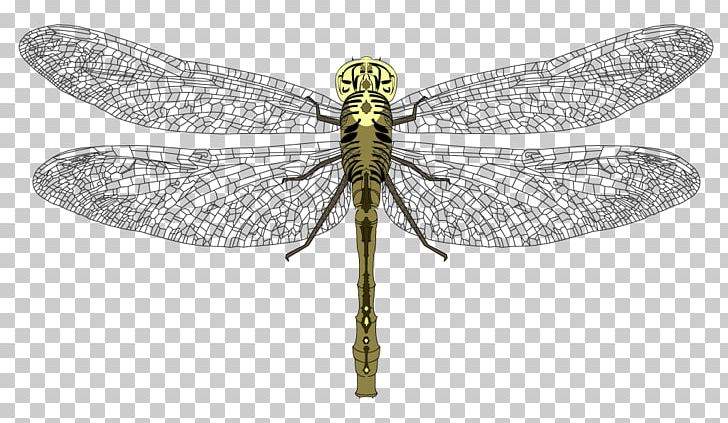 Pterygota Dragonfly Invertebrate Pest Arthropod PNG, Clipart, Animal, Arthropod, Dragonflies And Damseflies, Dragonfly, Fly Free PNG Download
