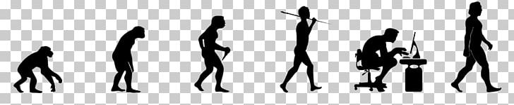 Human Evolution Homo Sapiens T-shirt Natural Selection PNG, Clipart, Black, Black And White, Bumper Sticker, Charles Darwin, Decal Free PNG Download