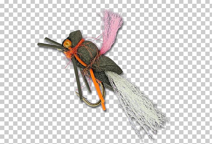 Insect PNG, Clipart, Animals, Cicada, Insect, Membrane Winged Insect, Pest Free PNG Download