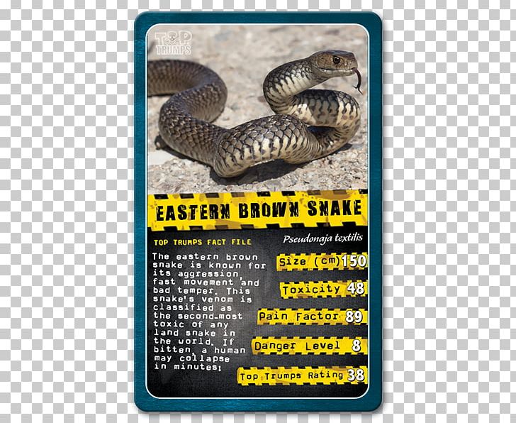 Top Trumps Snake Shark Winning Moves PNG, Clipart, Animal, Animals, Black Mamba, Blueringed Octopus, Box Jellyfish Free PNG Download