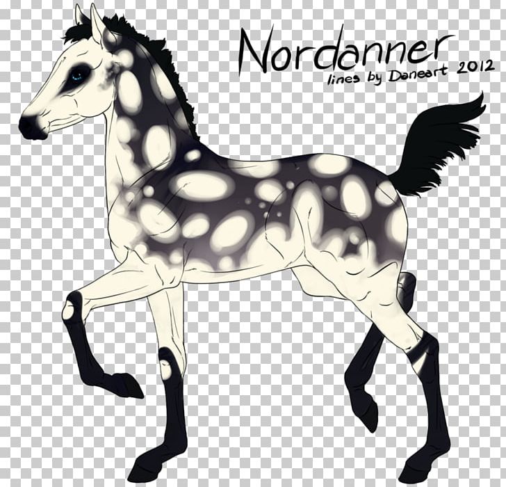 Mustang Pony Mule Arabian Horse Mare PNG, Clipart, American Quarter Horse, Arabian Horse, Black And White, Bridle, Colt Free PNG Download