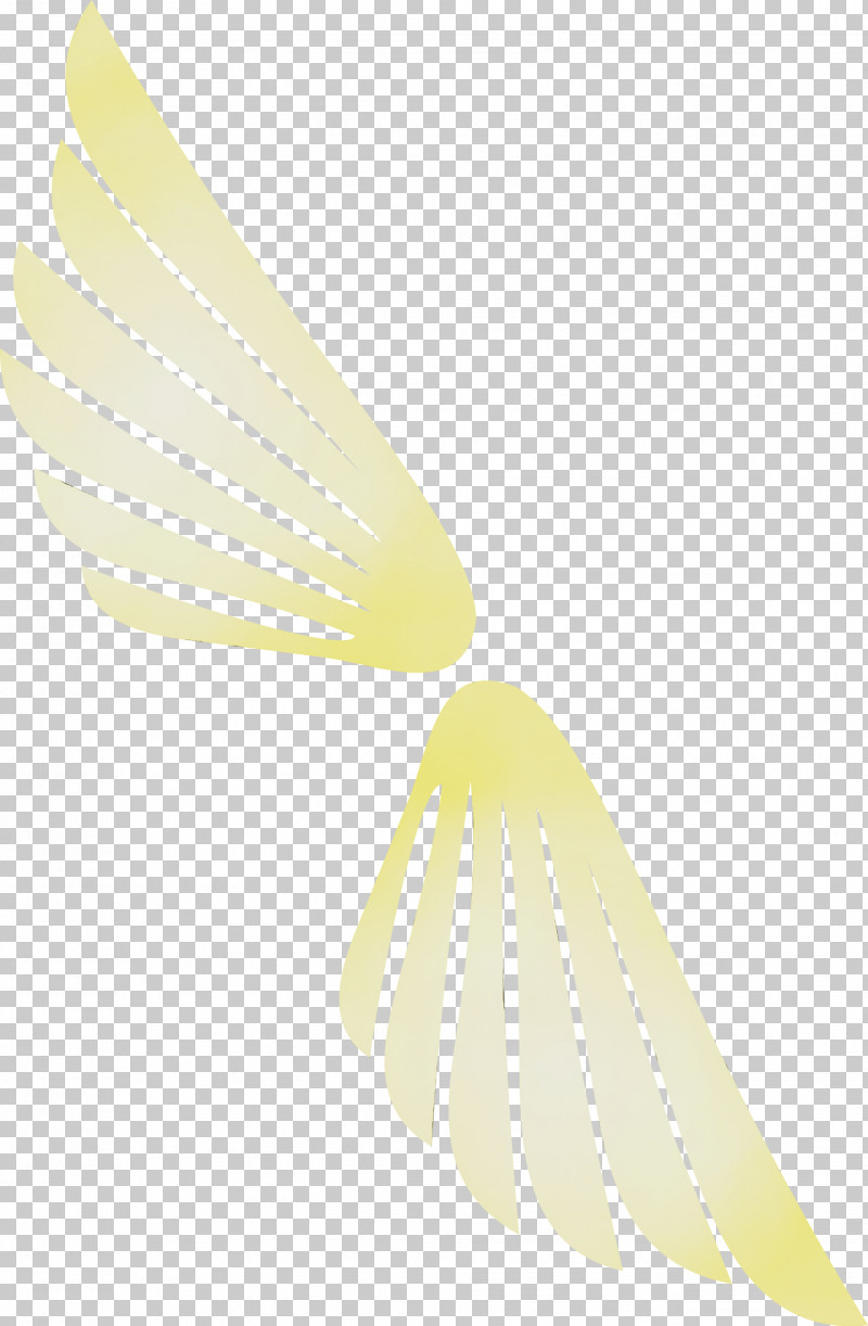 Feather PNG, Clipart, Angle Wings, Bird Wings, Feather, Paint, Watercolor Free PNG Download