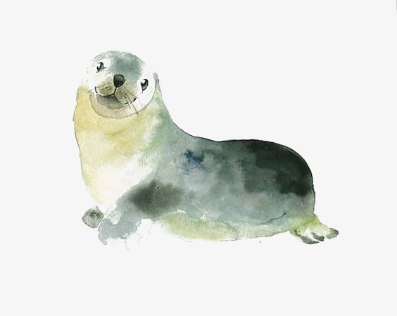 Seal PNG, Clipart, Animal, Baby, Baby Seals, Creative, Creative Seal Free PNG Download
