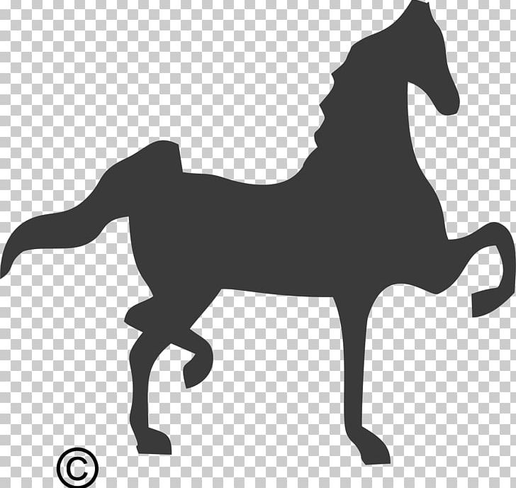 Mustang Spotted Saddle Horse American Saddlebred South Africa Percheron PNG, Clipart, Black And White, Breed Registry, Bridle, Colt, Downtown Tattoo Free PNG Download