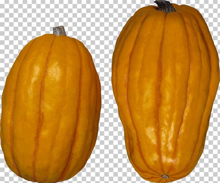 Pattypan Squash Butternut Squash Pumpkin Winter Squash Delicata Squash PNG, Clipart, Butternut Squash, Calabaza, Commodity, Computer Icons, Cucumber Gourd And Melon Family Free PNG Download