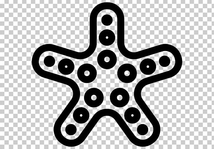 Starfish Computer Icons PNG, Clipart, Animal, Animals, Black, Black And White, Computer Icons Free PNG Download