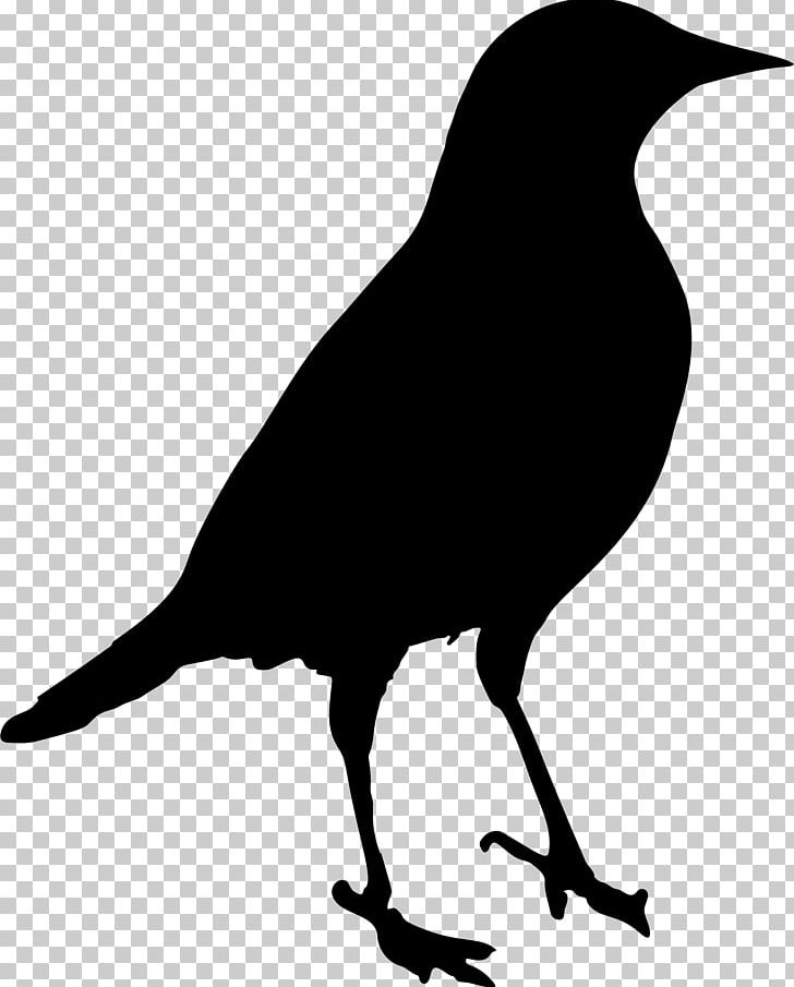Bird Silhouette Crow PNG, Clipart, American Crow, Animals, Art, Beak, Bird Free PNG Download