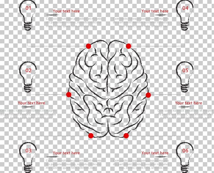 Human Brain Agy Infographic Euclidean PNG, Clipart, Area, Brain, Brain Vector, Brand, Bulb Free PNG Download