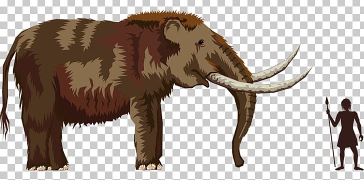 Pliocene Woolly Mammoth Mastodon PNG, Clipart, African Elephant, Animals, Cattle Like Mammal, Caveman, Download Free PNG Download
