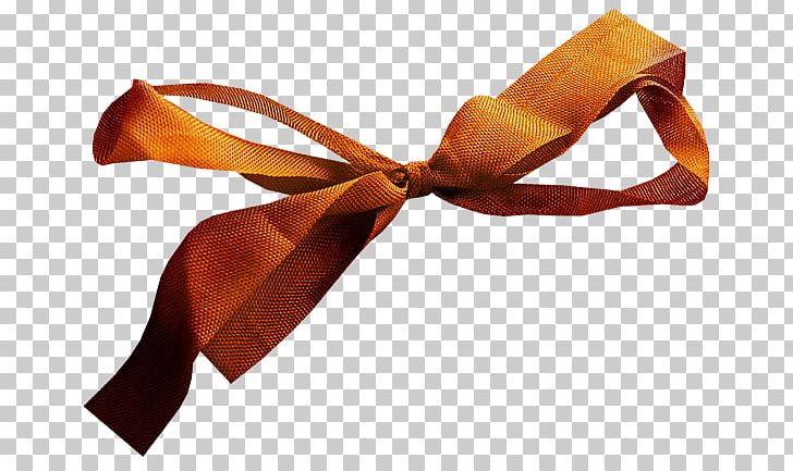 Ribbon PNG, Clipart, Autumn Elements, Fashion Accessory, Ribbon Free PNG Download