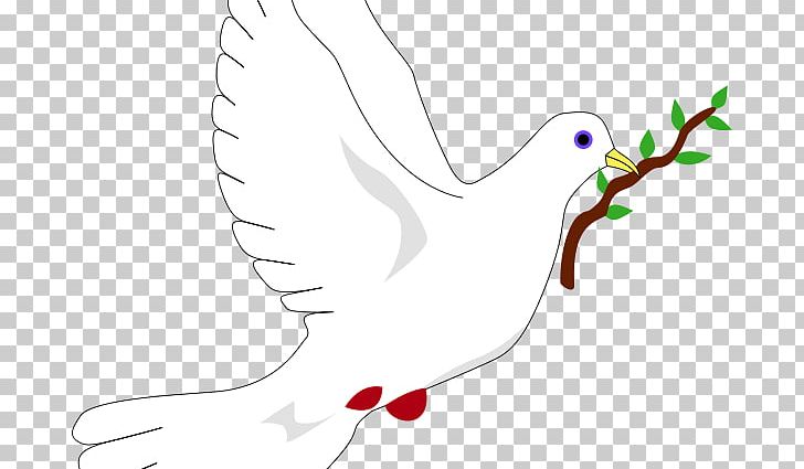 Columbidae Peace Symbols Doves As Symbols Olive Branch PNG, Clipart, Angle, Area, Art, Artwork, Beak Free PNG Download